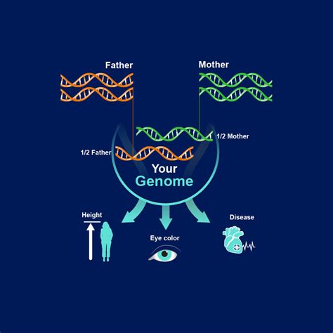 Genome